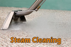 steam cleaning Service
